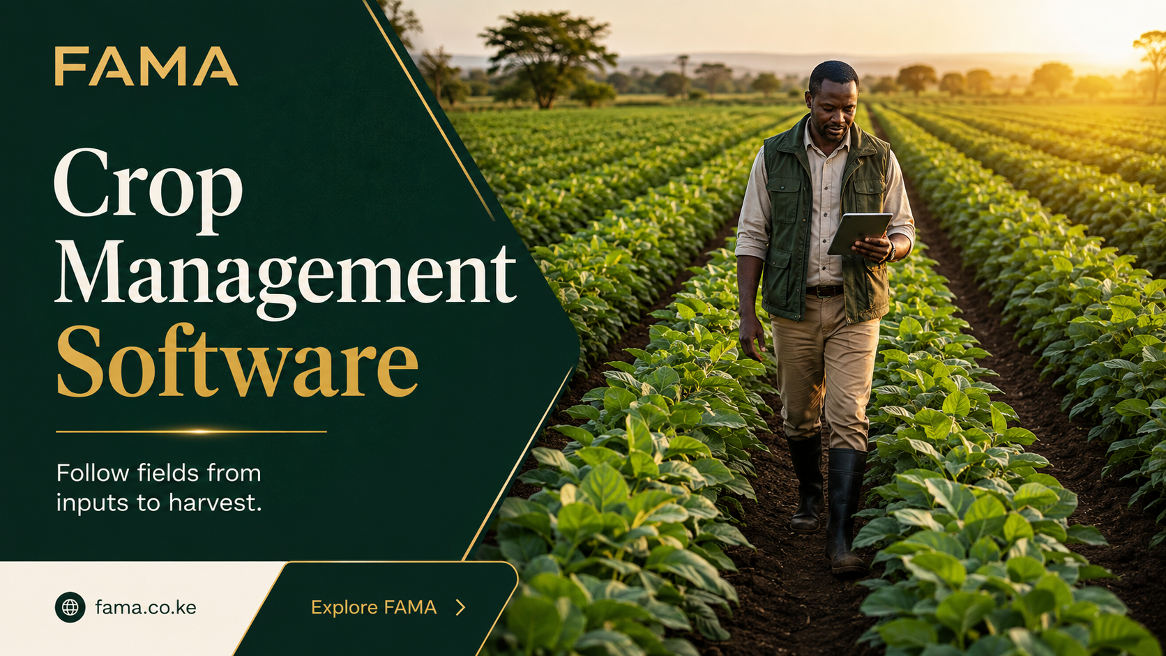 Crop Management Software — Crop manager walking through cultivated rows