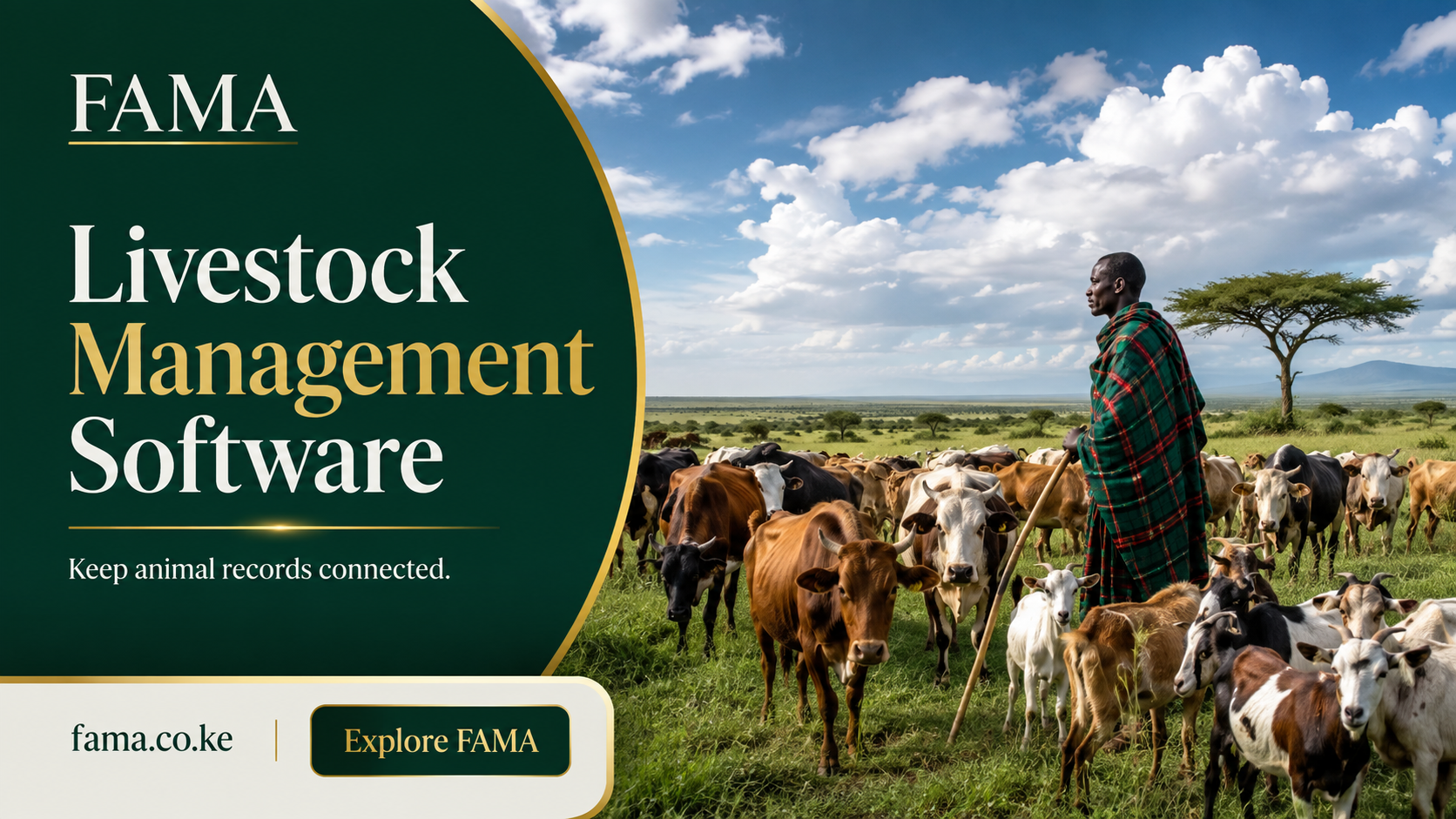 Livestock Management Software — Herder watching cattle and goats on pasture